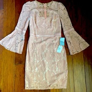 Tadashi Shoji cocktail dress size 6 pink lace